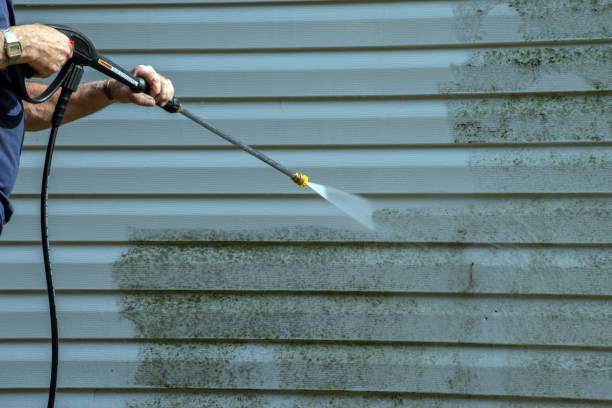 Best Roof Washing  in Murfreesboro, NC