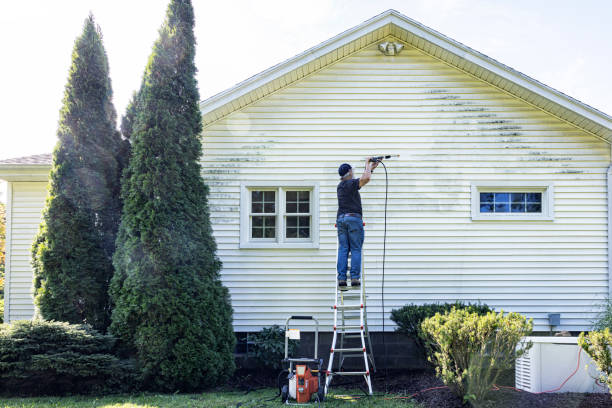 Reliable Murfreesboro, NC Pressure Washing Services Solutions
